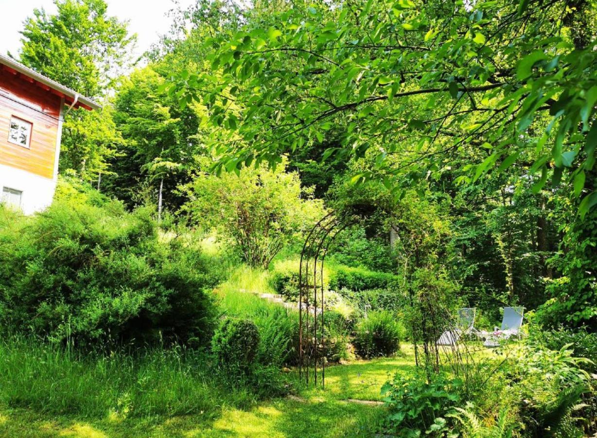 Ferienwohnung Am Woid - Herrliche Alleinlage - Vegane Einrichtung Waldkirchen Exterior photo
